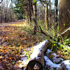 Mostly Somerset County NJ : Nature pictures from parks in New Jersey